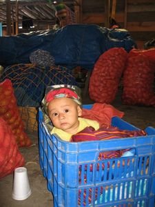 Baby at the market
