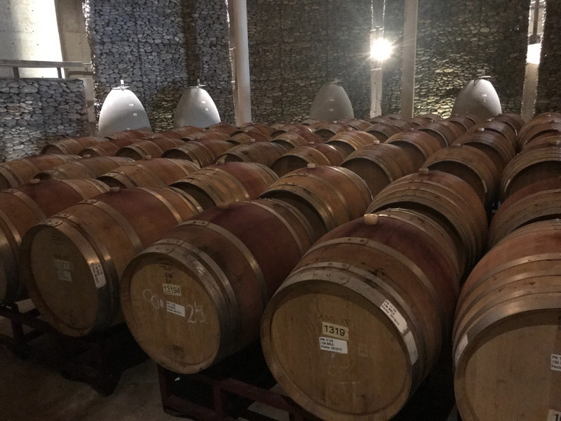 Oak barrels from France at Matetic winery