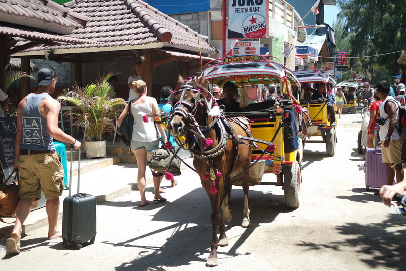 Classic sights during our stay on Gili T! 