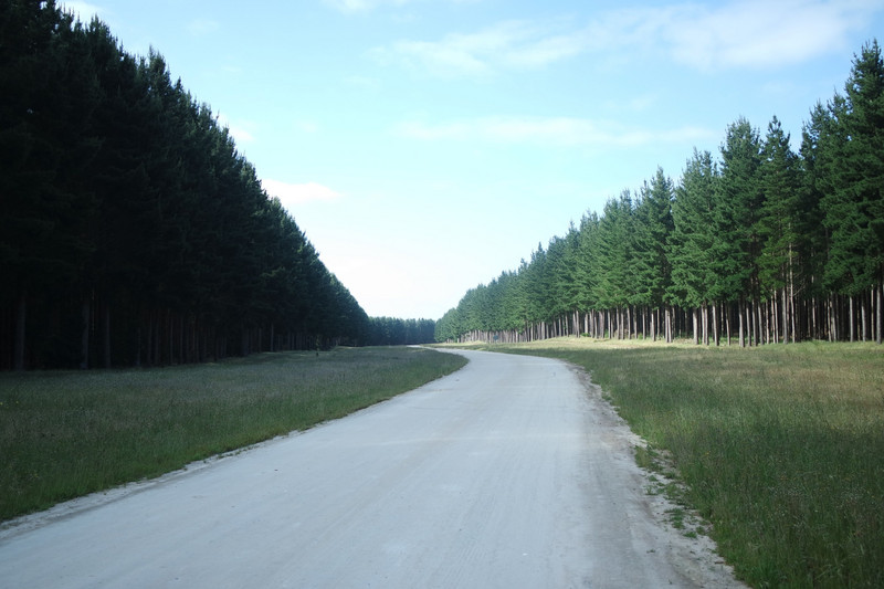 Even the forestry roads are well built and wide!