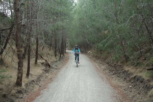 Motoring along the Riesling Trail, Clare Valley