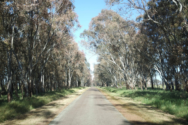 Off the beaten track.....taking the scenic drive to The Grampians NP