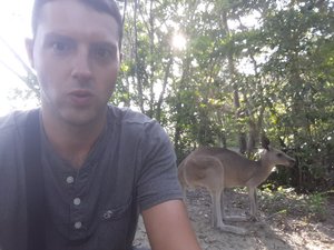 Kangaroo selfie