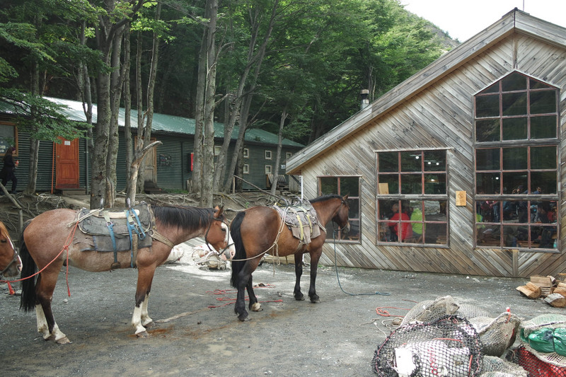 Horses are used to ferry supplies to one of the Refugio's in TDP National Park 