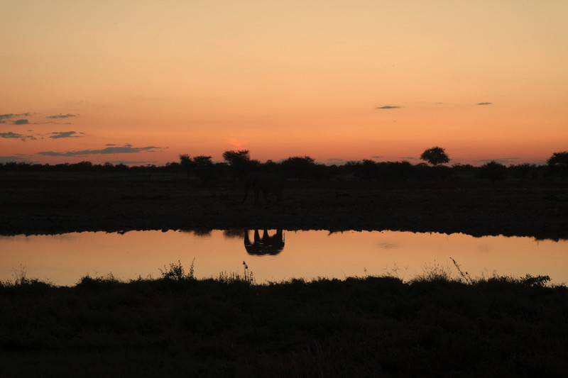 Sunset at the waterhole in the company of an elephant