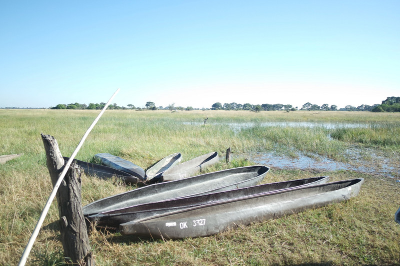 Mokoro boats to take us through the Okavango Delta