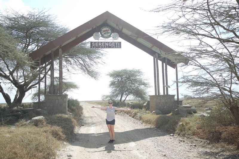 Welcome to Serengeti 