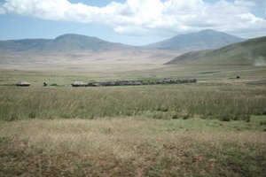 Maasai village 