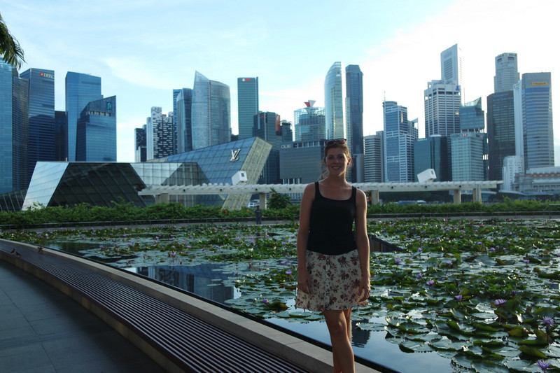 The Singapore Skyline 