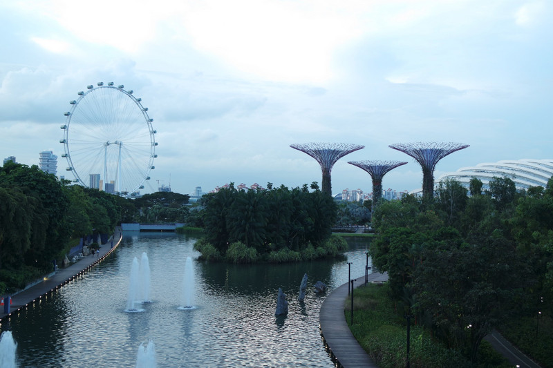 A view of Gardens by the Bay