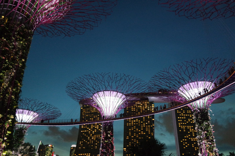 Gardens by the Bay with Marina Bay Sands Hotel 