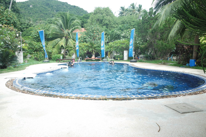 Crystal Dive's training pool 