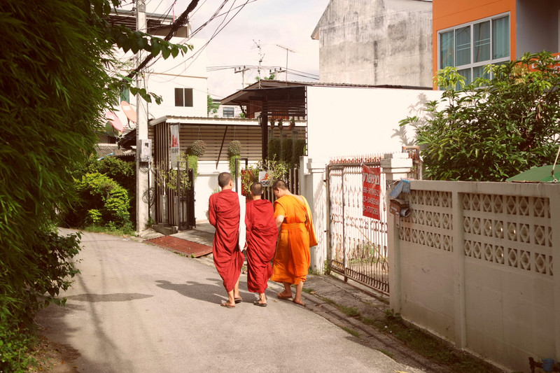 Buddhist monks going about their daily business 