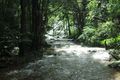 One of the main rivers in Doi Inthanon NP 