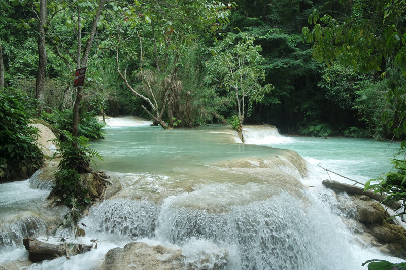 Our first glimpse of the turqoise water of Kuang Si Waterfall