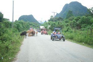 Traffic jam in Vang Vieng! 