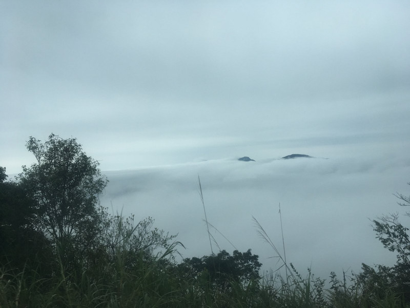 sea of cloud