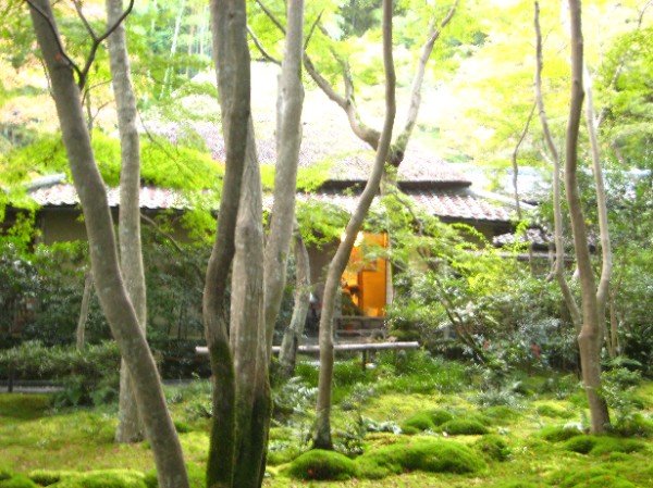 Gioji Temple (祇王寺)