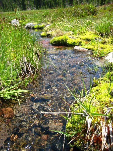 Little stream at Panther Meadows