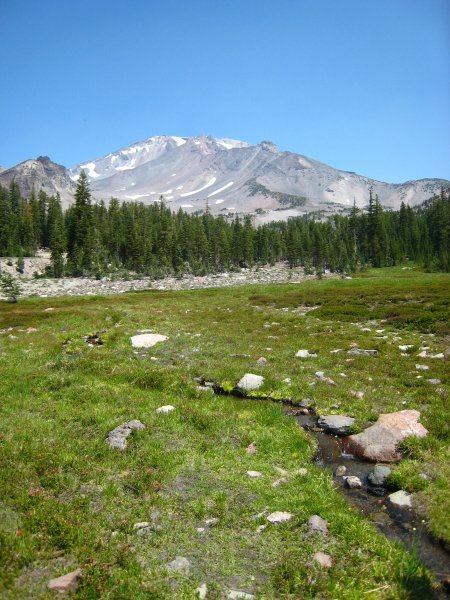 Panther Meadows and top of Mt. Shasta