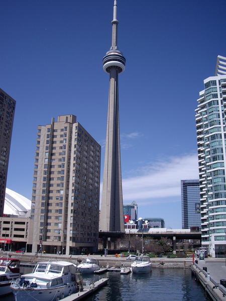 Cn tower from harbour