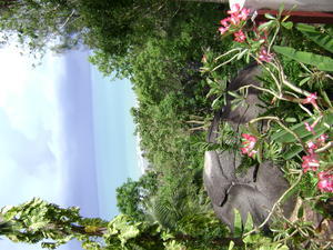 View from Butterfly Park