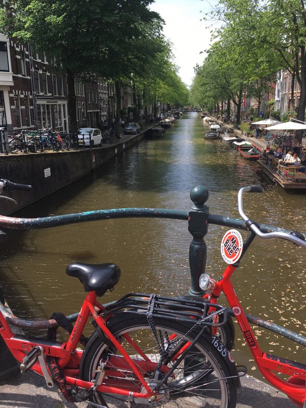 Lots of canals to go with the bikes