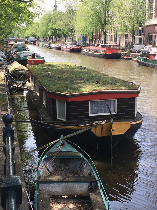 A boat with a grass roof! 