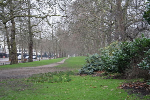 St James' Park