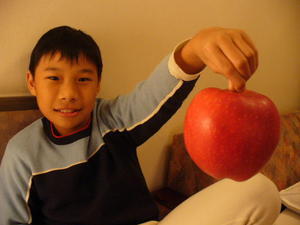 Aomori's famous apple