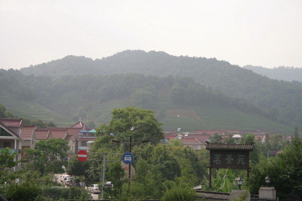西湖龙井茶山