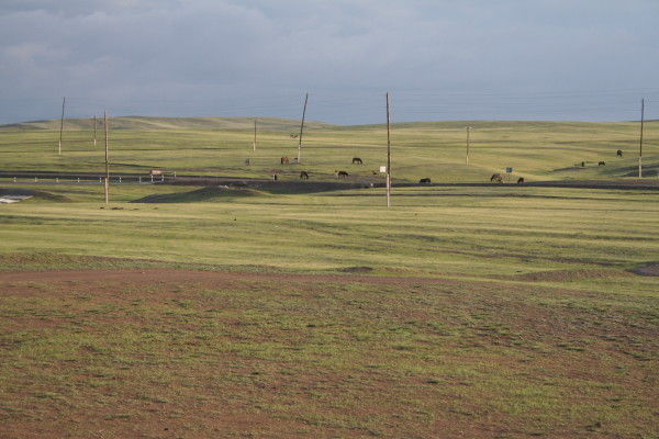 Beautiful Pasture in Bulgan