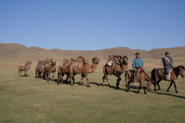 Two travelling nomads with camels for hire