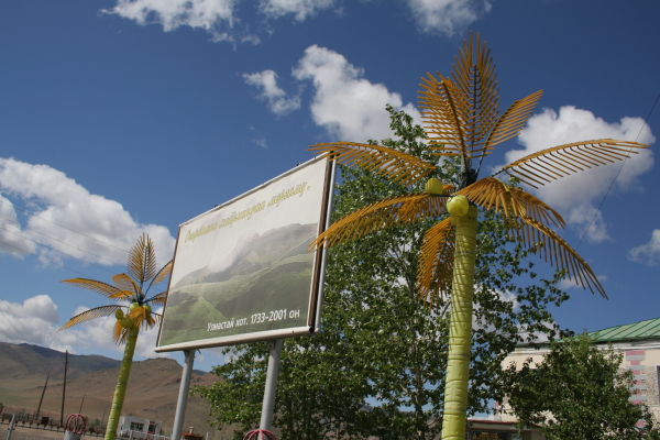 Coconut Trees in Mongolia?