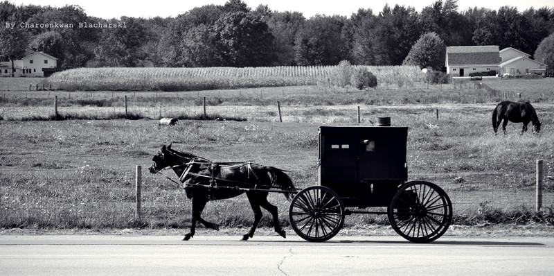 Amish countryside in Shipshewana