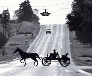 Amish convertible carriage