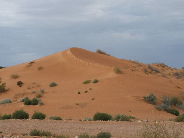 more dunes