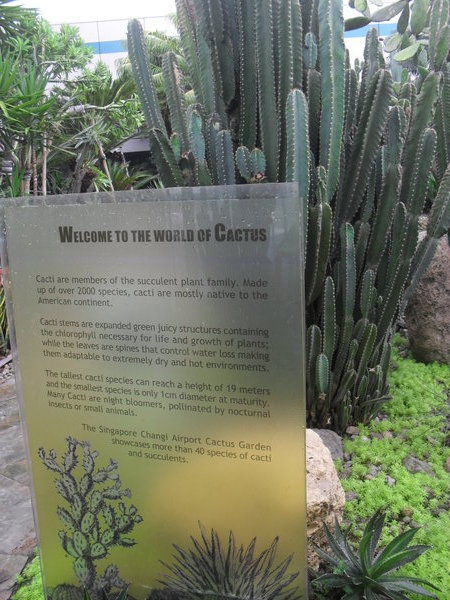 Botanical feature