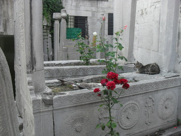 Graves in a mosque