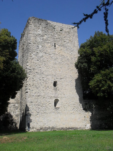 11th Century tower