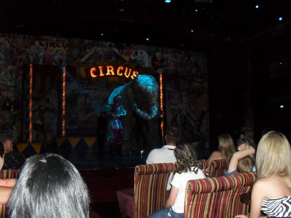 The Circus show