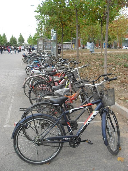 Bikes to get around the large campus