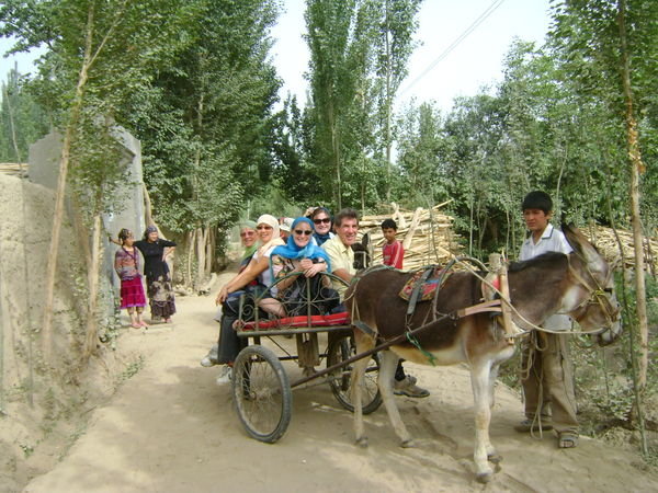 Donkey Cart riding