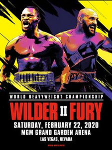 Wilder v Fury 11