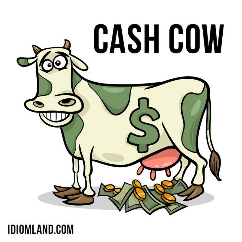 I Welcome Cash Cows!