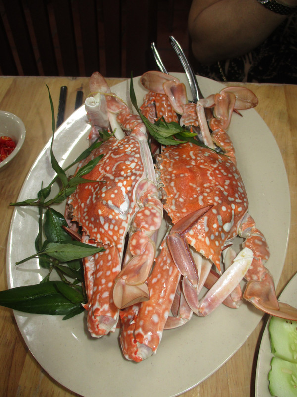 Fresh Crab About to Disappear Down Thuy's Throat