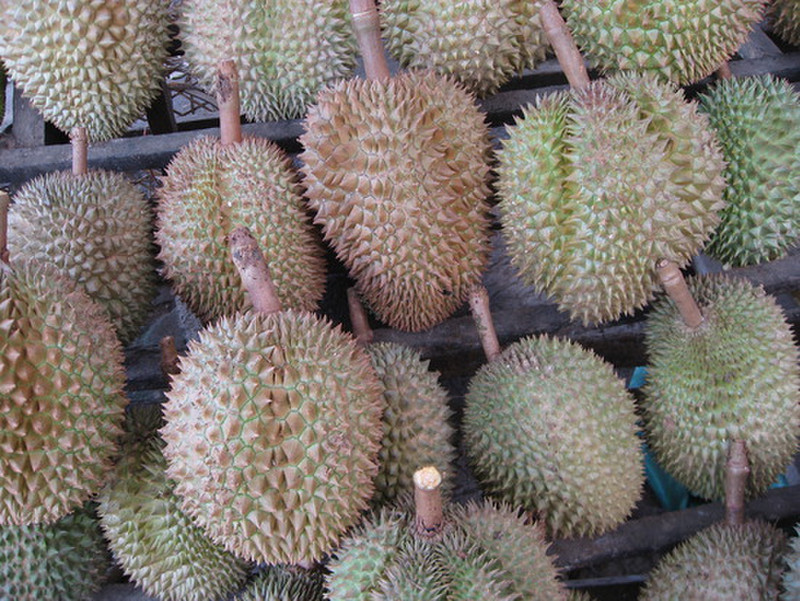 Durian Galore!