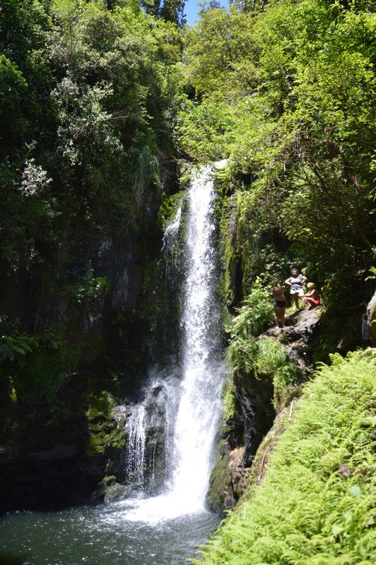 Rerekawau Falls