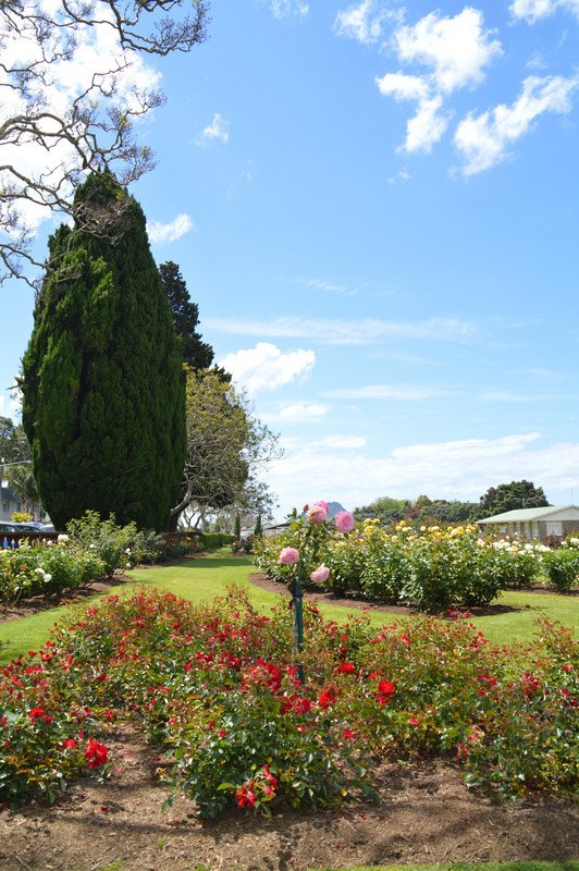 jardin centre ville de Tauranga