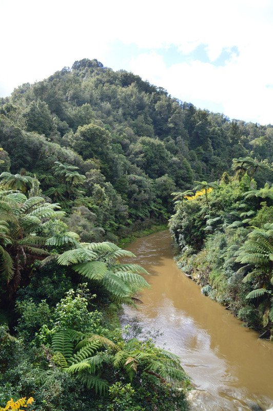 Whanganui National Park